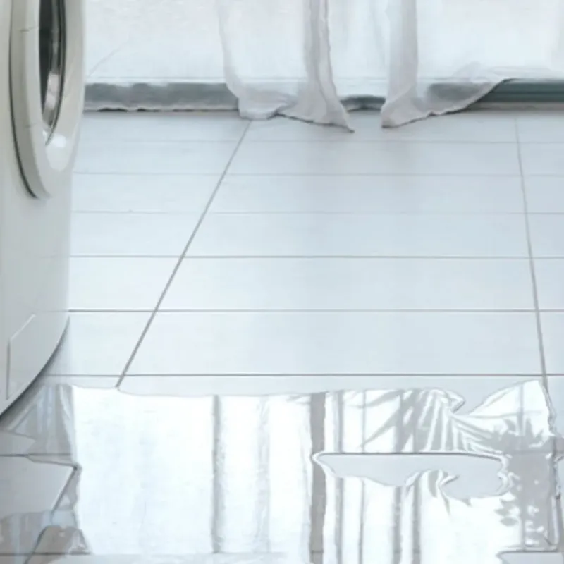 Appliance Leak Cleanup in Liberty, NY