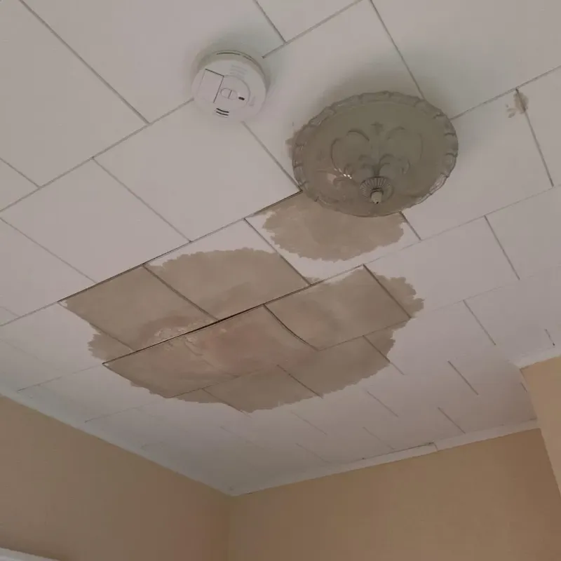 Ceiling Water Damage Repair in Liberty, NY