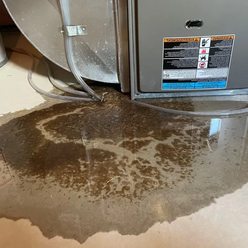 Pipe Burst and Leak Restoration in Liberty, NY