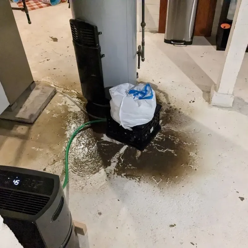 Sewage Backup Cleanup Service in Liberty, NY